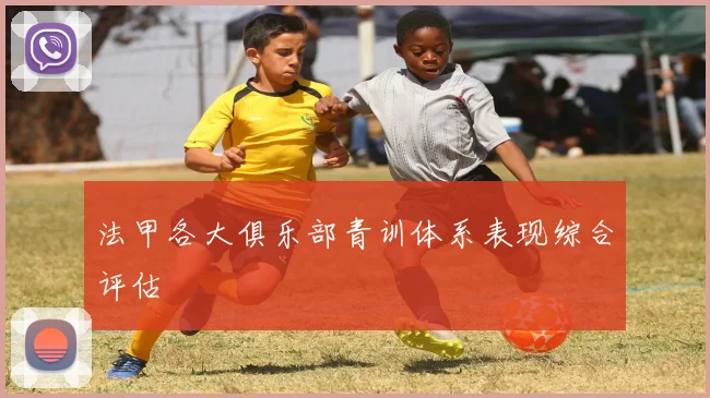 法甲各大俱乐部青训体系表现综合评估