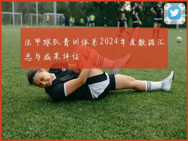 法甲球队青训体系2024年度数据汇总与成果评估