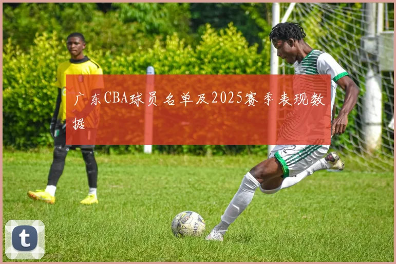 广东CBA球员名单及2025赛季表现数据